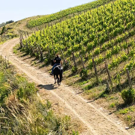 Agriresidence Le Grazie Montecorice